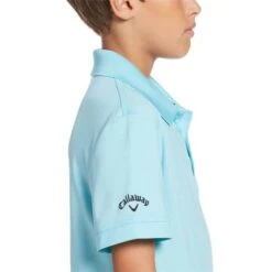 Callaway Junior - Boys Micro Hex Polo Shirt Blue (499) -Callaway P CGKS80L9CALLAWAYSHIRTBLUE499BOYS 2 L